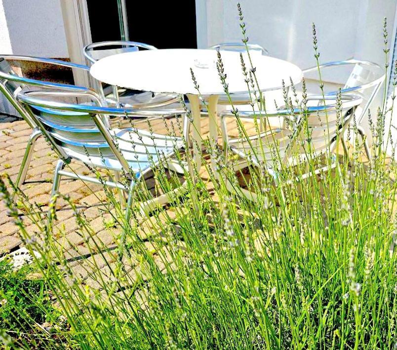 Dreamly Suites Oslip Buitenkant foto